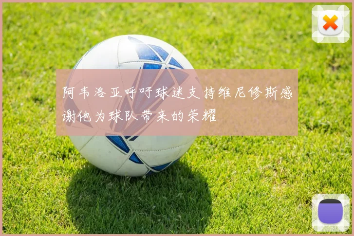 阿韦洛亚呼吁球迷支持维尼修斯感谢他为球队带来的荣耀